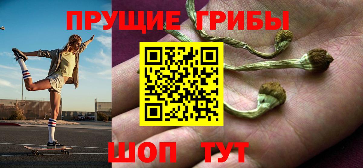Галлюциногенные грибы Psilocybe  Вход с VPN  Сургут 