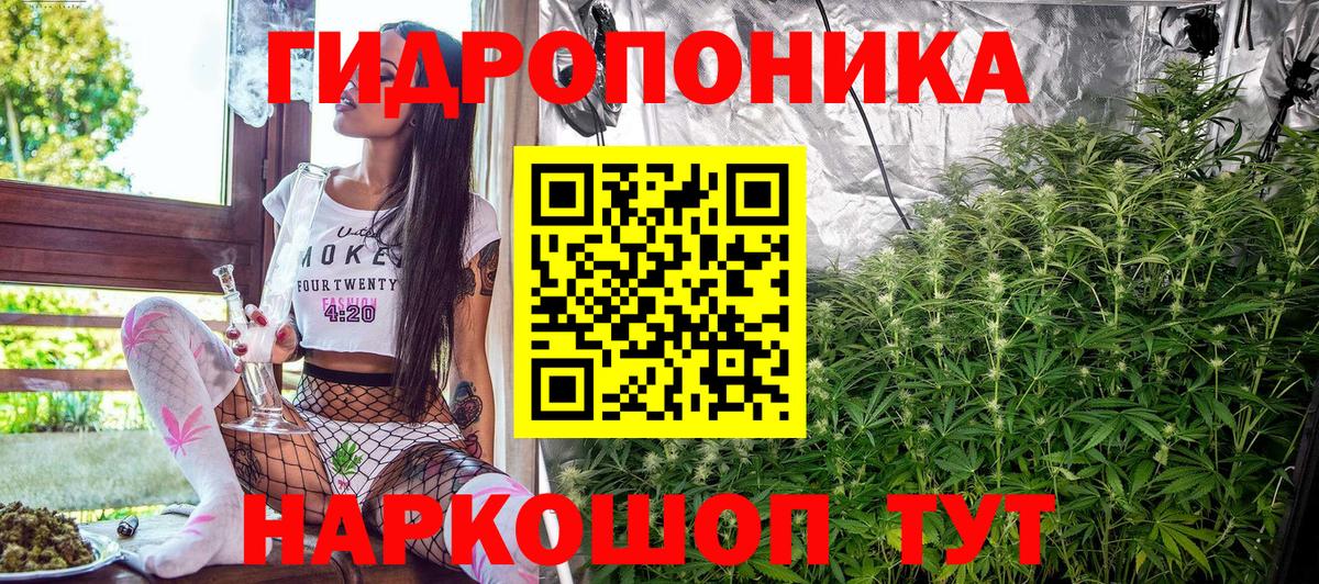 МАРИХУАНА SATIVA & INDICA  Бошки марихуана LSD WEED  Канабис VHQ  Вход с VPN  Сургут  Бошки марихуана планчик 